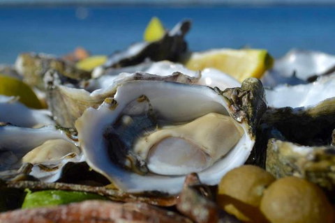 Coffin Bay Oysters, Ocean & Nature Tour - Newcastle Accommodation 8