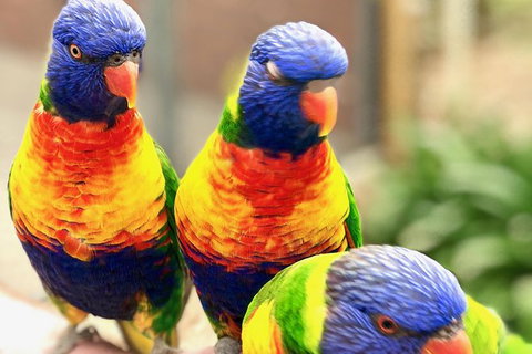 Coffin Bay Oysters, Ocean & Nature Tour - Newcastle Accommodation 9