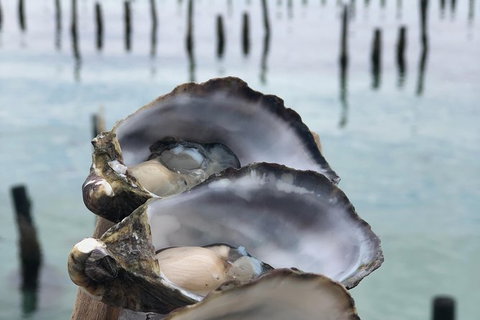 Coffin Bay Oysters, Ocean & Nature Tour - Newcastle Accommodation 6
