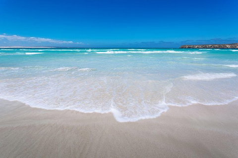 Coffin Bay Oysters, Ocean & Nature Tour - Newcastle Accommodation 14