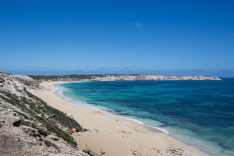 Coffin Bay Oysters, Ocean & Nature Tour - Newcastle Accommodation 16