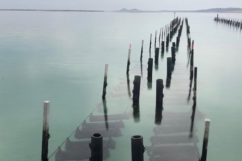 Coffin Bay Oysters, Ocean & Nature Tour - Newcastle Accommodation 15