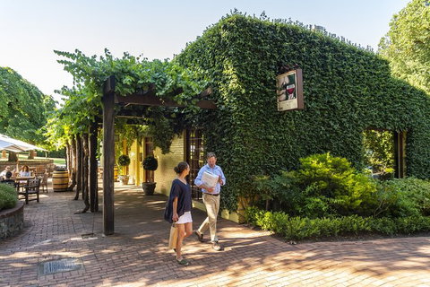 Yalumba Cooperage Tour - Newcastle Accommodation 8