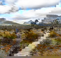 Cradle Mountain Day Tour - New Castle Tourism