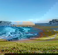 Cruise Ship Special from Burnie to Stanley and The Nut - New Castle Tourism