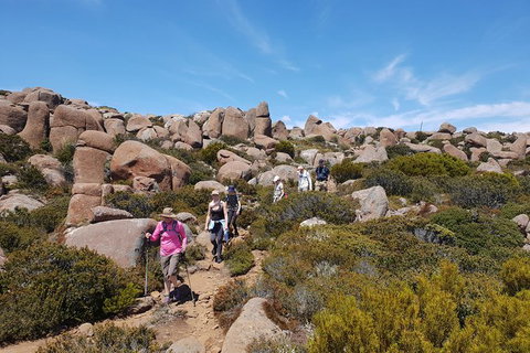 Alpine Loop - Newcastle Accommodation 2