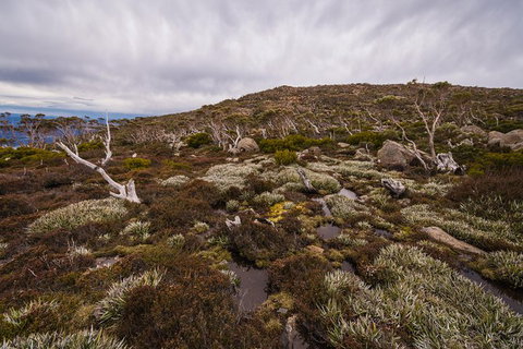 Alpine Loop - Newcastle Accommodation 0