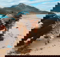 Freycinet Walking Tour - New Castle Tourism