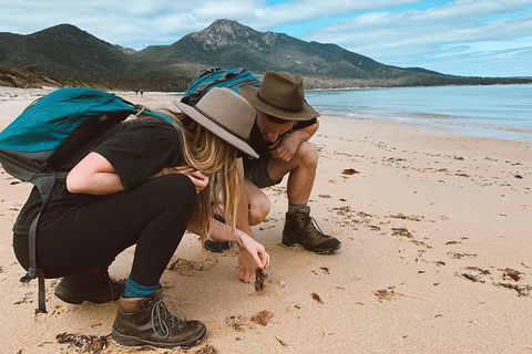 Freycinet Walking Tour - New Castle Tourism 0