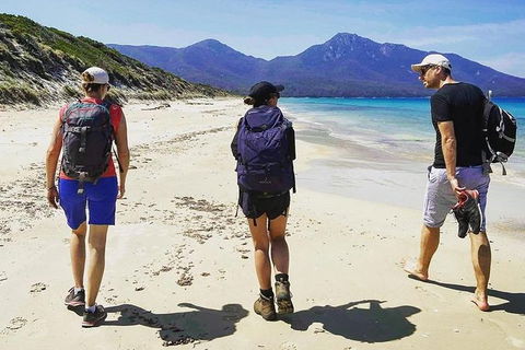 Freycinet Walking Tour - New Castle Tourism 1