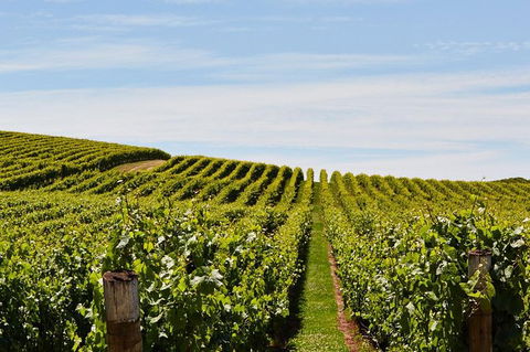 Launceston Wine & Sightseeing Tours - New Castle Tourism 3