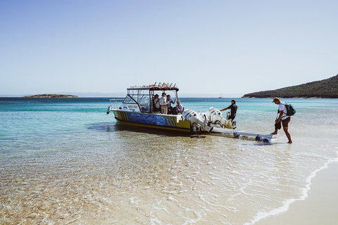 Sea & Explore Wineglass Bay & Freycinet National Park - Cruise & Walk - New Castle Tourism 3