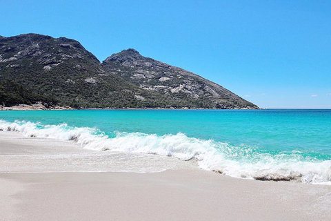 Sea & Explore Wineglass Bay & Freycinet National Park - Cruise & Walk - New Castle Tourism 4