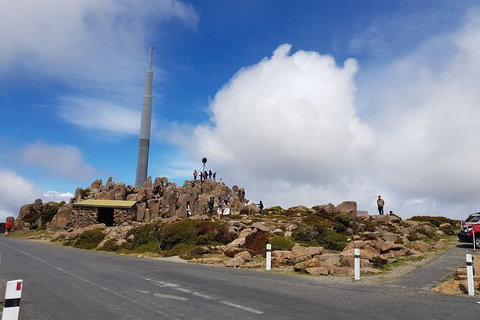 Mt. Wellington Morning Hike + Afternoon Beer & History Walk - New Castle Tourism 21