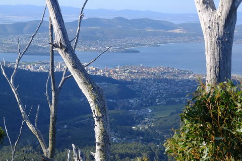 Mt. Wellington Morning Hike + Afternoon Beer & History Walk - New Castle Tourism 10