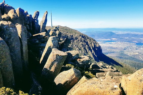 Mt. Wellington Morning Hike + Afternoon Beer & History Walk - New Castle Tourism 11