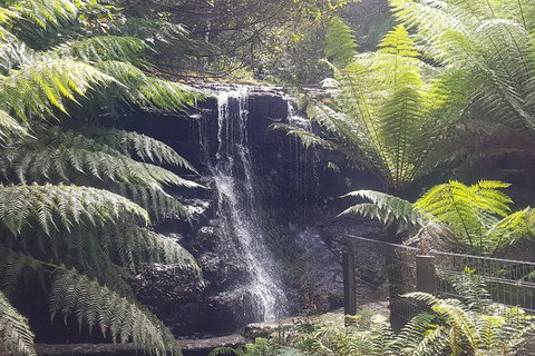 Mt. Wellington Morning Hike + Afternoon Beer & History Walk - New Castle Tourism 16