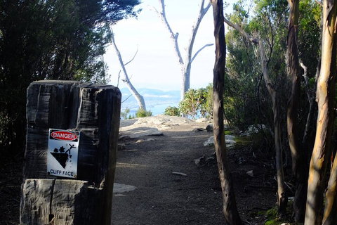 Mt. Wellington Morning Hike + Afternoon Beer & History Walk - New Castle Tourism 14