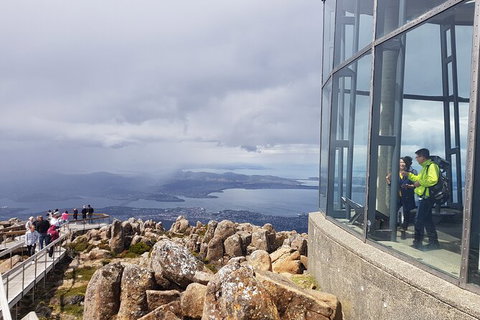 Mt. Wellington Morning Hike + Afternoon Beer & History Walk - New Castle Tourism 12