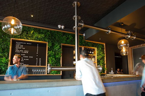 Mt. Wellington Morning Hike + Afternoon Beer & History Walk - New Castle Tourism 15