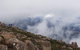 Mt. Wellington Morning Hike + Afternoon Beer & History Walk - thumb 18