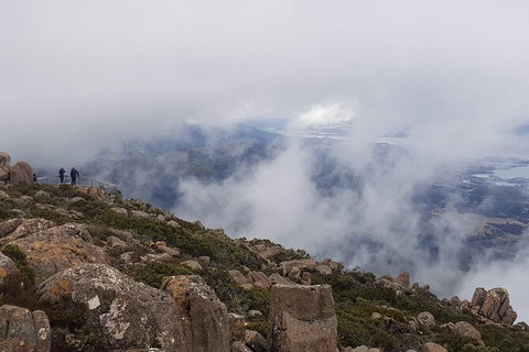 Mt. Wellington Morning Hike + Afternoon Beer & History Walk - New Castle Tourism 18