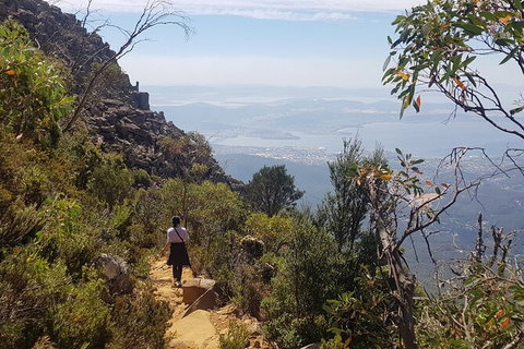 Mt. Wellington Morning Hike + Afternoon Beer & History Walk - New Castle Tourism 1