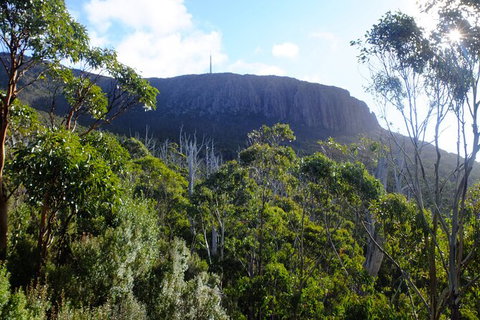 Mt. Wellington Morning Hike + Afternoon Beer & History Walk - New Castle Tourism 4