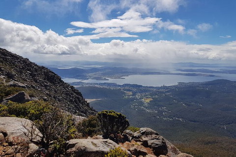 Mt. Wellington Morning Hike + Afternoon Beer & History Walk - New Castle Tourism 5