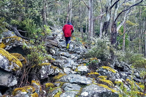 Mt. Wellington Morning Hike + Afternoon Beer & History Walk - New Castle Tourism 8