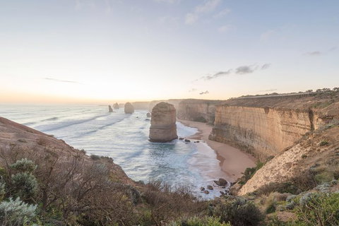 PRIVATE Great Ocean Road Tour And 12 Apostles With Wildlife Spotting - Newcastle Accommodation 0