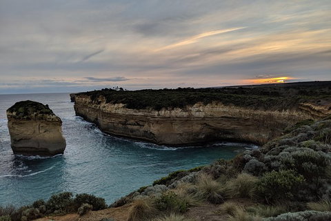 PRIVATE Great Ocean Road Tour And 12 Apostles With Wildlife Spotting - Newcastle Accommodation 5