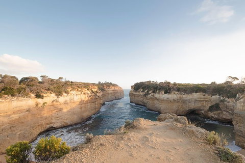 PRIVATE Great Ocean Road Tour And 12 Apostles With Wildlife Spotting - Newcastle Accommodation 1