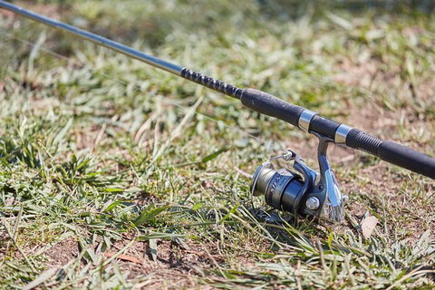 Skip The Line: Fishing Experience Ticket - Buxton Trout & Salmon - Newcastle Accommodation 14