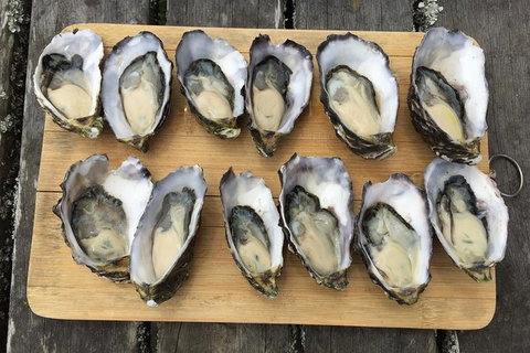 Skip The Line: Fishing Experience Ticket - Buxton Trout & Salmon - Newcastle Accommodation 2