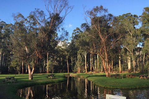 Skip The Line: Fishing Experience Ticket - Buxton Trout & Salmon - Newcastle Accommodation 17