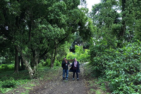 Alices Journeys Guided Walking Tours Of Daylesford - New Castle Tourism 5