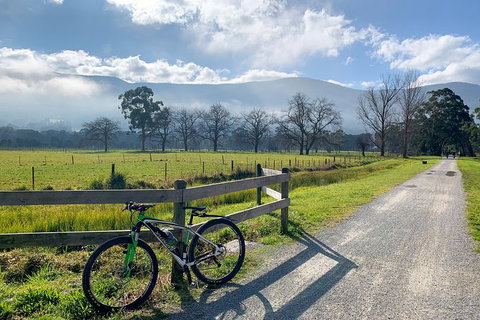 Aqueduct And Rail Trail Self-Guided Bike Tour In Warburton - Newcastle Accommodation 5