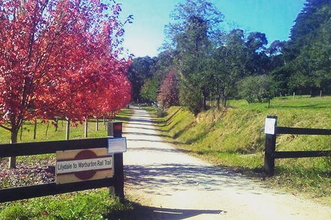 Aqueduct And Rail Trail Self-Guided Bike Tour In Warburton - Newcastle Accommodation 4