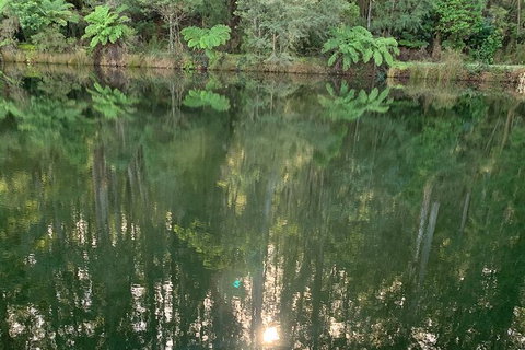 Hiking Tour To Aqueduct And Warburton Valley Lookout - Newcastle Accommodation 2