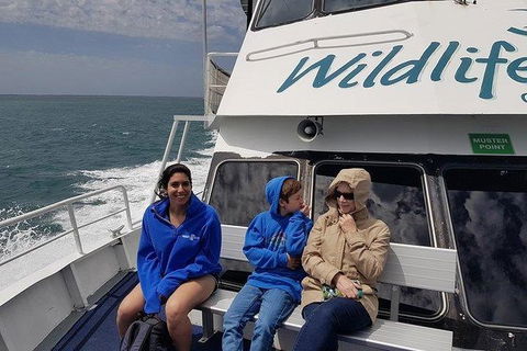 Phillip Island Penguin And Wildlife Tour - New Castle Tourism 15
