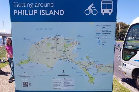Phillip Island Penguin And Wildlife Tour - New Castle Tourism 28