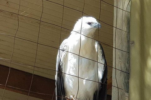Phillip Island Penguin And Wildlife Tour - New Castle Tourism 21