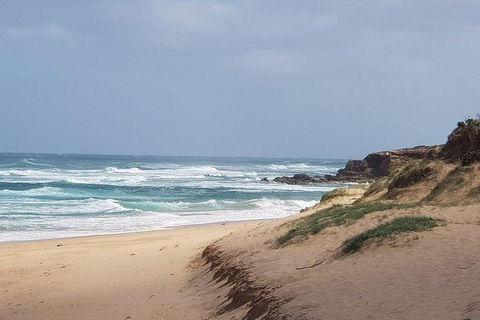 Phillip Island Penguin And Wildlife Tour - New Castle Tourism 10