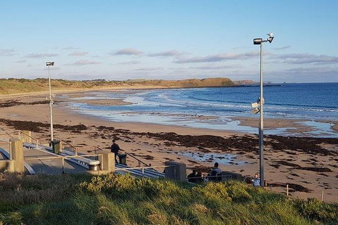 Phillip Island Penguin And Wildlife Tour - New Castle Tourism 8