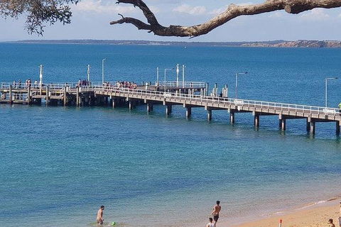 Phillip Island Penguin And Wildlife Tour - New Castle Tourism 2