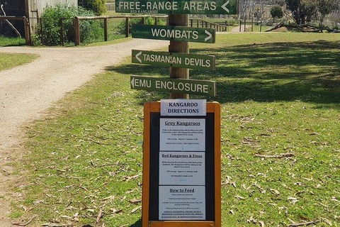 Phillip Island Penguin And Wildlife Tour - New Castle Tourism 4