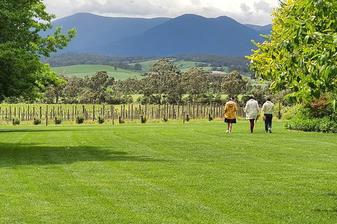 Yarra Valley Wine Tasting Day Tour From Melbourne - Newcastle Accommodation 6