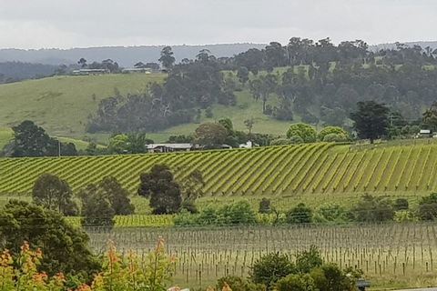 Yarra Valley Wine Tasting Day Tour From Melbourne - Newcastle Accommodation 0