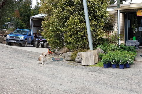 Yarra Valley Wineries And Rayners Orchard Tour From Melbourne - Newcastle Accommodation 8
